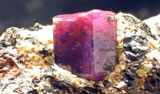 Сторија за МАКЕДОНСКИОТ РУБИН (втор дел)